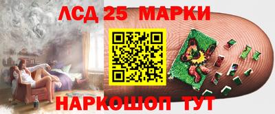 a pvp Дубна