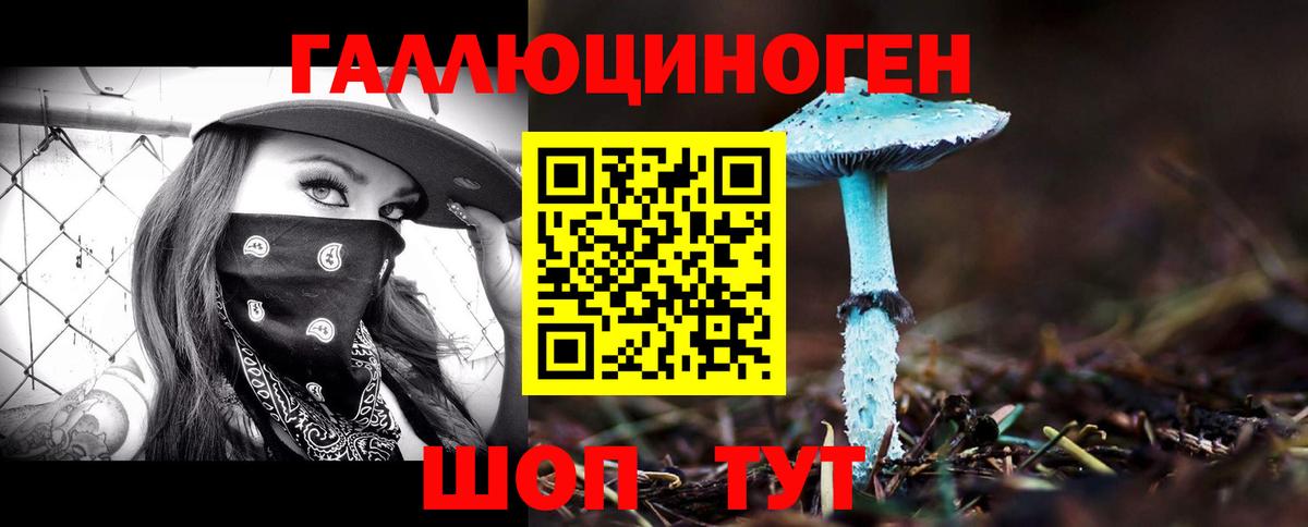 Миасс  Галлюциногенные грибы Psilocybine cubensis  Вход с VPN 